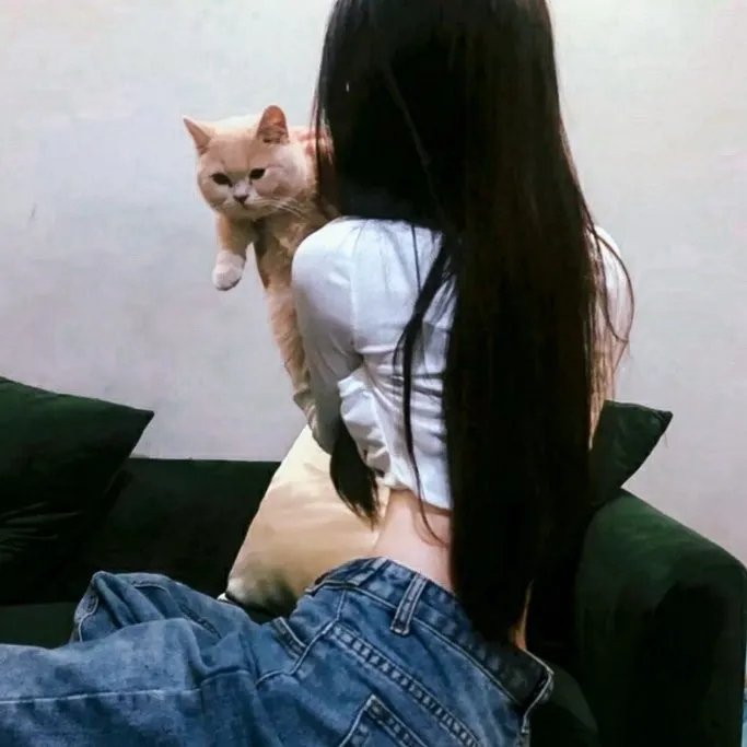 赛马娘第二季